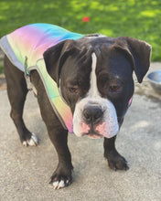 Load image into Gallery viewer, Cooling Vest - San Frenchie