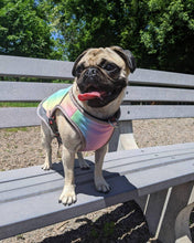 Load image into Gallery viewer, Cooling Vest - San Frenchie