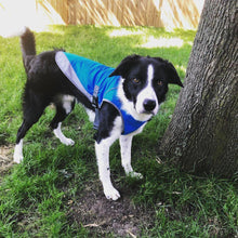 Load image into Gallery viewer, Cooling Vest - San Frenchie