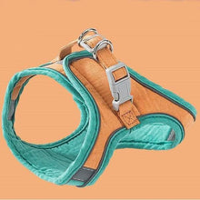 Load image into Gallery viewer, Harness and Leash Set - San Frenchie