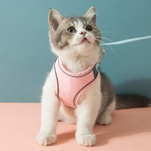 Load image into Gallery viewer, Harness and Leash Set - San Frenchie