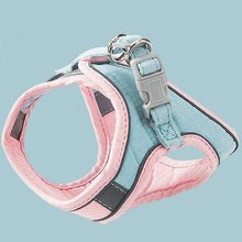 Load image into Gallery viewer, Harness and Leash Set - San Frenchie