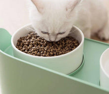 Load image into Gallery viewer, Bone China Ceramic Cat Double Bowl - San Frenchie