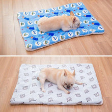 Load image into Gallery viewer, Sleeping Mat for Pets - San Frenchie