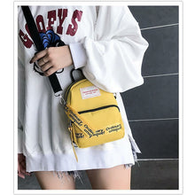 Load image into Gallery viewer, Tee Shirt w/ attached Backpack for Dogs - San Frenchie