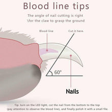 Load image into Gallery viewer, 10