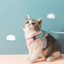 Load image into Gallery viewer, Harness and Leash Set - San Frenchie