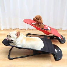 Load image into Gallery viewer, Rocking Sunbath Chair - San Frenchie