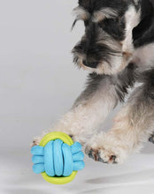 Load image into Gallery viewer, Playful Rope Ball Dog Toy - San Frenchie