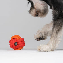 Load image into Gallery viewer, Playful Rope Ball Dog Toy - San Frenchie