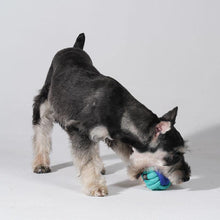 Load image into Gallery viewer, Playful Rope Ball Dog Toy - San Frenchie