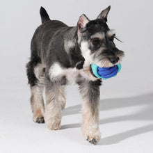 Load image into Gallery viewer, Playful Rope Ball Dog Toy - San Frenchie