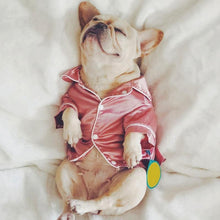 Load image into Gallery viewer, Cute Pet Pajamas - San Frenchie