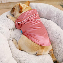 Load image into Gallery viewer, Cute Pet Pajamas - San Frenchie