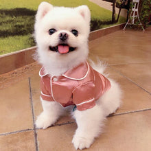 Load image into Gallery viewer, Cute Pet Pajamas - San Frenchie
