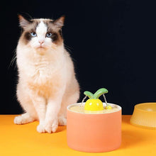 Load image into Gallery viewer, Ceramic Carrot Shape Drinking Fountain - San Frenchie