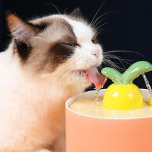 Load image into Gallery viewer, Ceramic Carrot Shape Drinking Fountain - San Frenchie