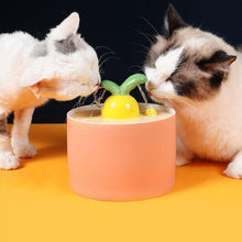 Load image into Gallery viewer, Ceramic Carrot Shape Drinking Fountain - San Frenchie