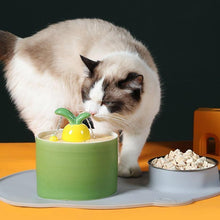 Load image into Gallery viewer, Ceramic Carrot Shape Drinking Fountain - San Frenchie
