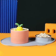 Load image into Gallery viewer, Ceramic Carrot Shape Drinking Fountain - San Frenchie
