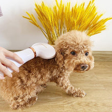Load image into Gallery viewer, 2-In-1 Portable Pet Dryer - San Frenchie