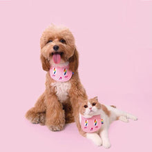 Load image into Gallery viewer, Attractive Lightning Bolt Pet Bib - San Frenchie