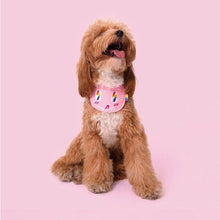 Load image into Gallery viewer, Attractive Lightning Bolt Pet Bib - San Frenchie
