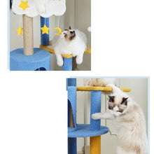 Load image into Gallery viewer, Sea World Cat Climbing Tree - San Frenchie