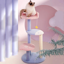 Load image into Gallery viewer, Ocean View Cat Climbing Tree - San Frenchie