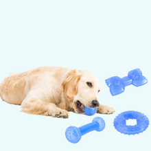 Load image into Gallery viewer, freezable dog toys for summer
