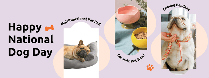 Gift Guide: Pawsome Gifts for your Fur Baby on National Dogs Day 2021
