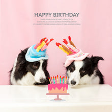 Load image into Gallery viewer, Pet Happy Birthday Hat
