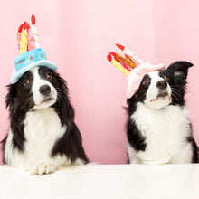 Load image into Gallery viewer, Pet Happy Birthday Hat

