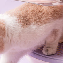 Load image into Gallery viewer, Spaceship Cat Litter Box
