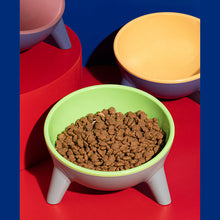 Load image into Gallery viewer, Contrasting Color Cat Bowl
