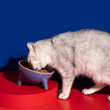Load image into Gallery viewer, Contrasting Color Cat Bowl
