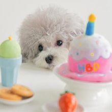 Load image into Gallery viewer, Pet Happy Birthday Hat

