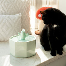 Load image into Gallery viewer, Cactus Style Cat Water Fountain
