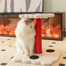 Load image into Gallery viewer, Gothic Design Cat Scratcher
