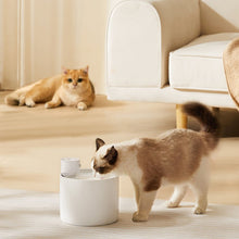 Load image into Gallery viewer, automatic cat waterer
