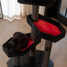 Load image into Gallery viewer, Top view of a cat on the coffin platform of the Gothic Style Cat Tree

