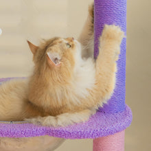Load image into Gallery viewer, A cat scratching in the condo of the Moonlight Deluxe Cat Tree
