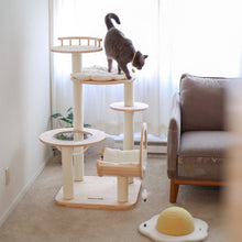 Load image into Gallery viewer, A cat on the second configuration of the Transformable Cat Tree
