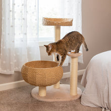 Load image into Gallery viewer, Sleeping in the Bowl Cat Tree
