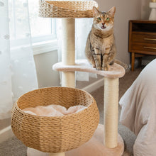 Load image into Gallery viewer, Sleeping in the Bowl Cat Tree
