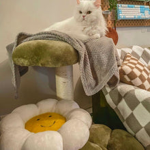 Load image into Gallery viewer, white longhaired cat lying on top platform of Four Leaf Clover Cat Tree
