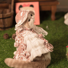 Load image into Gallery viewer, Golden Velvet Gorgeous Cat Dress Set - San Frenchie
