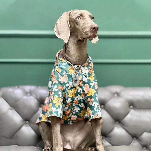 Hawaii Styled Flower Dog Shirt - San Frenchie