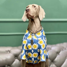 Load image into Gallery viewer, Hawaii Styled Sunflower Dog Shirt - San Frenchie
