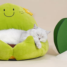 Load image into Gallery viewer, Cactus Hug Huge Cat House - San Frenchie
